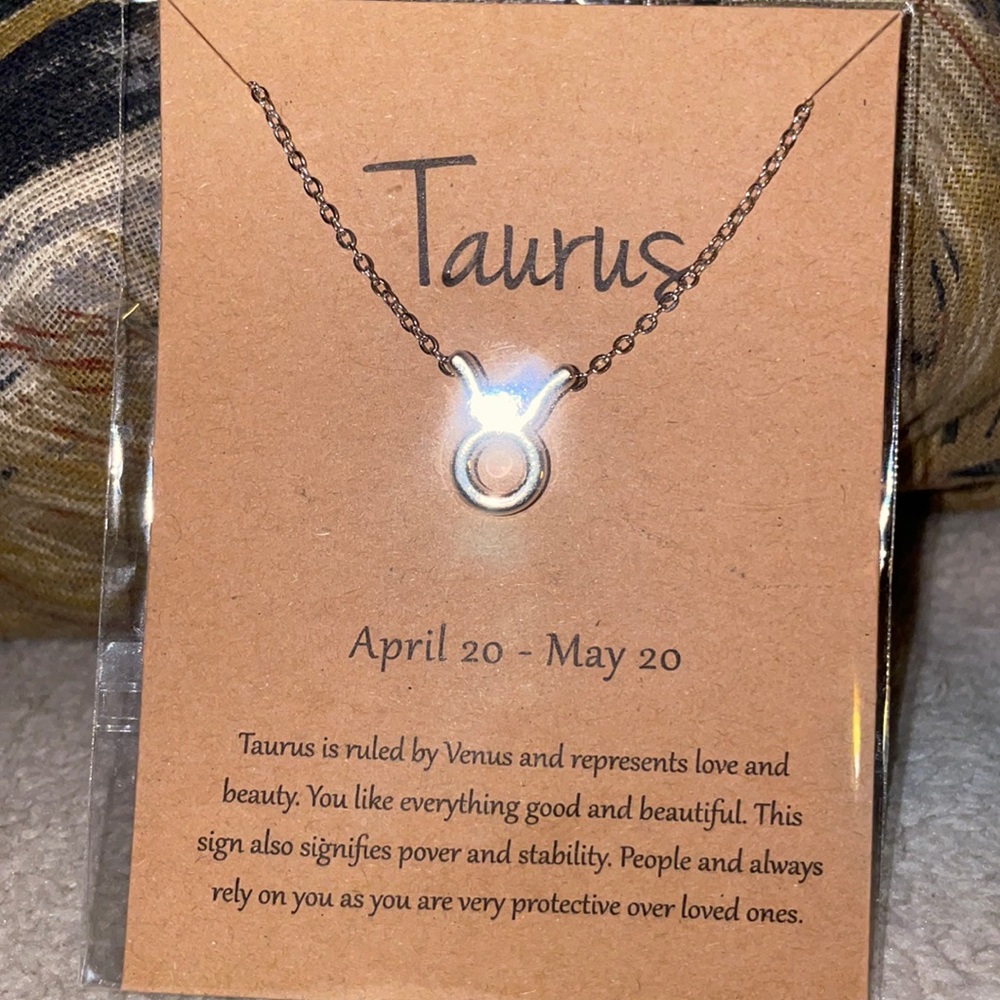 Taurus zodiac sign necklace, Silver, 16” chain
